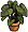 Vasinho de Planta