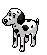 Dalmata