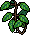Plantinha Jurássica