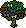 Arbusto Jardim Pascoal