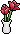 Flores Apaixonantes