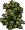 Arbusto Floral