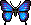 Borboleta Exótica