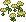 Amarelo Delirante