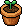 Pequeno Vaso de Planta para Jardim