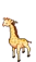 Girafa