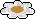 Tapete Florido