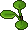 Planta Ornamental