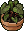 Vaso Herbologia