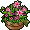 Vaso Florido