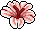 Flor de Afrodite