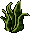 Plantinha Bo-ho