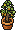 Plantinha Exótica