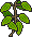 Planta Tranquilizante Osier