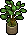 Planta Frondosa Osier