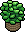 Plantinha do Jardim Osier