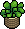 Plantinha Ornamental Osier