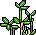 habbox_hotel_fbnncls_plante16
