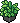 Planta Verdejante