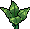 Plantinha Indiana