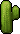 Mini cacto 4