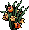 Tulipas Pequenas