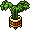 Planta Gigante de Interior