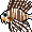 Peixe-leão