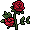 Rosas Aromáticas
