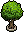 Arbusto Ficus