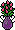 Flores Exóticas