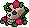 Caveira das Rosas