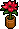 Vasinho de Flores