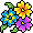 Primula Azul