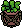 Planta Pendurada