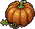 kasja_a_pumpkin