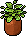 Vasinho de Planta