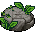 kasja_g_rock4 name