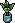 Plantinha de Cozinha