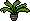 Planta Ornamental