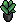 Plantinha Pequena