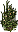 Arbusto da Floresta