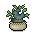 Plantinha Oriental