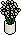 Planta Decorativa
