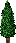 Pinheiro Longo