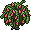 lt_c26_dragonfruit