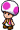 Toad Violeta