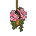 Planta Suspensa Rosa