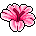 Flor Espacial Rosa