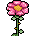 Flor Pequena Rosa
